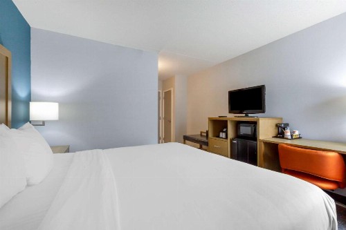 Comfort Inn & Suites Alexandria Van Dorn Street - image 11