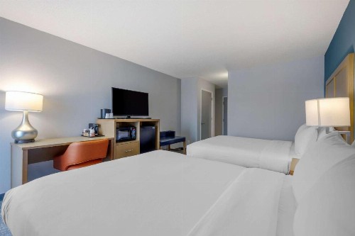 Comfort Inn & Suites Alexandria Van Dorn Street - image 14