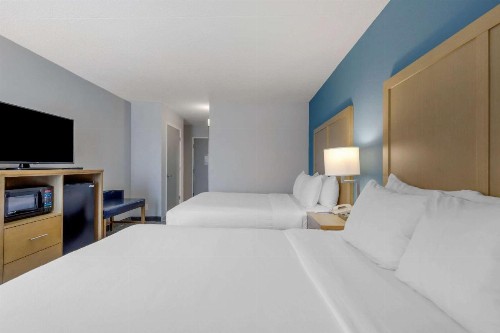 Comfort Inn & Suites Alexandria Van Dorn Street - image 15