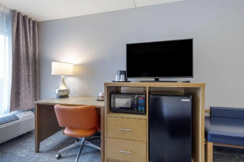 Comfort Inn & Suites Alexandria Van Dorn Street - image 16