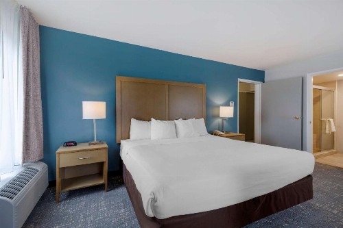 Comfort Inn & Suites Alexandria Van Dorn Street - image 18