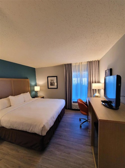 Comfort Inn & Suites Alexandria Van Dorn Street - image 34
