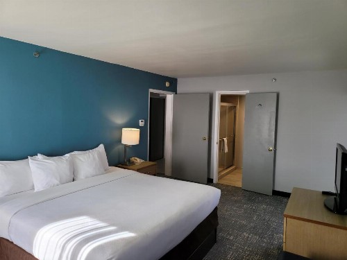 Comfort Inn & Suites Alexandria Van Dorn Street - image 37