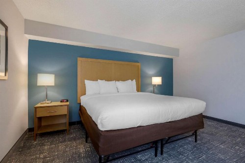 Comfort Inn & Suites Alexandria Van Dorn Street - image 4
