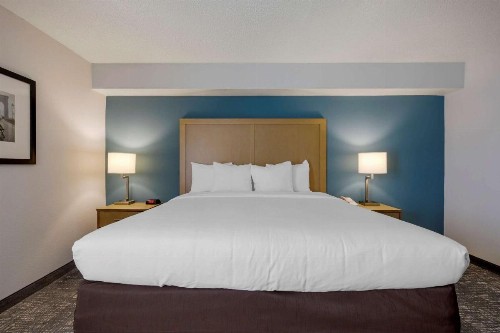 Comfort Inn & Suites Alexandria Van Dorn Street - image 5