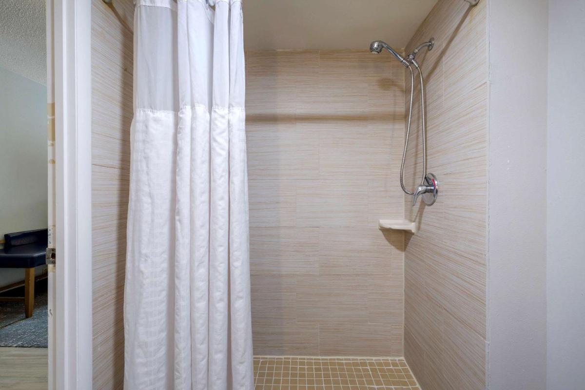 Comfort Inn & Suites Alexandria Van Dorn Street - image 7