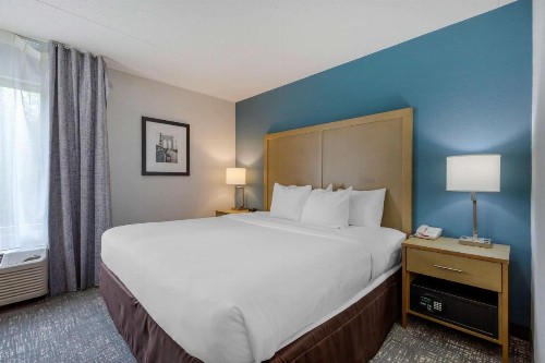 Comfort Inn & Suites Alexandria Van Dorn Street - image 9