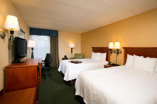 Hampton Inn Alexandria - image 16
