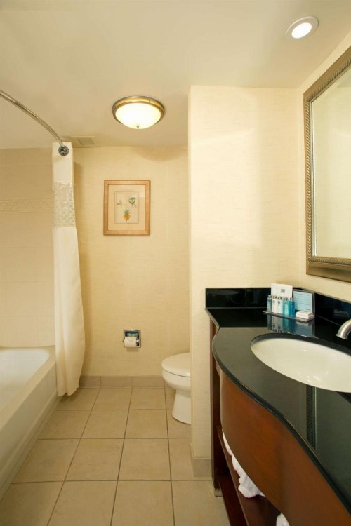 Hampton Inn Alexandria - image 23