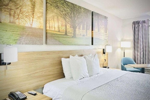 Days Inn by Wyndham Alexandria - image 11