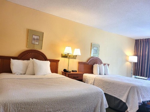 Days Inn by Wyndham Alexandria South - image 25