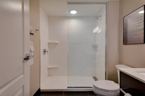TownePlace Suites by Marriott Detroit Allen Park - image 14