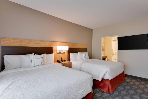 TownePlace Suites by Marriott Detroit Allen Park - image 28