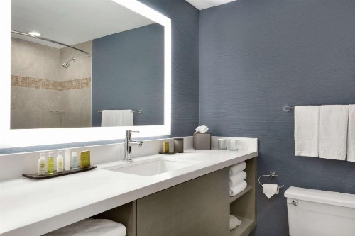 DoubleTree Suites by Hilton Hotel Boston - Cambridge - image 25