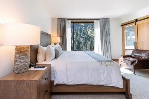 The Snowpine Lodge - image 22