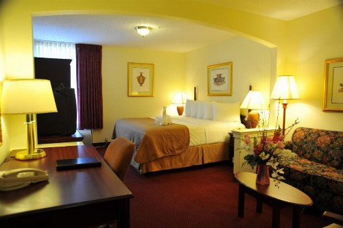 Opal Hotel & Suites - image 12