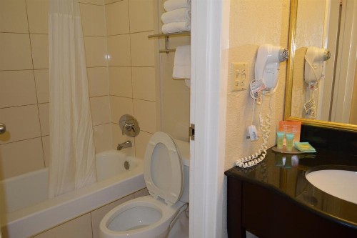Opal Hotel & Suites - image 7