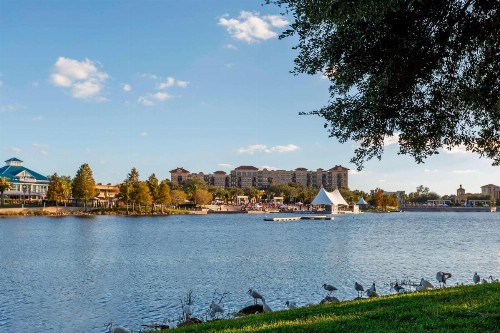 TownePlace Suites by Marriott Orlando Altamonte Springs/Maitland - image 16