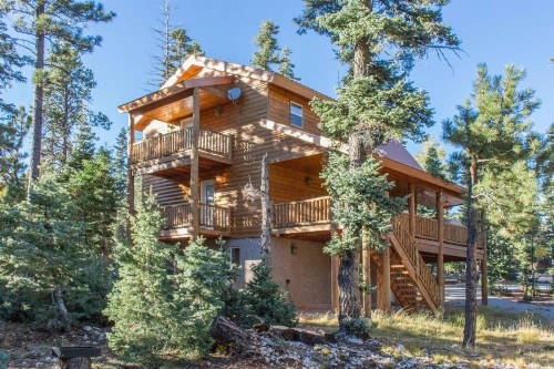 High Roller Hideaway - image 3