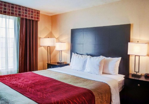 Comfort Inn and Suites Medical West - image 11
