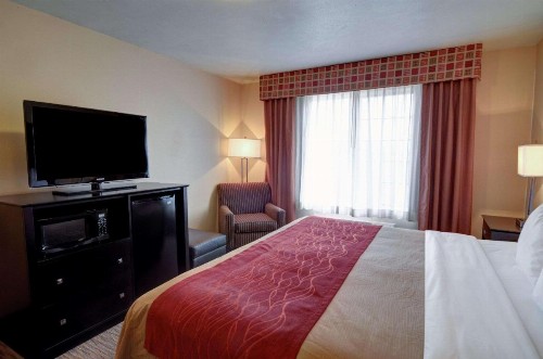 Comfort Inn and Suites Medical West - image 14