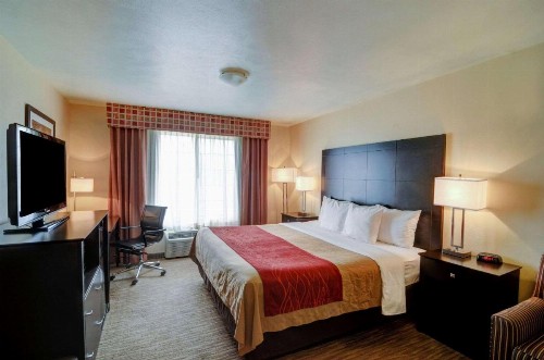 Comfort Inn and Suites Medical West - image 15