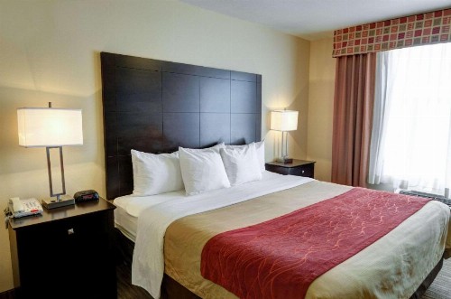 Comfort Inn and Suites Medical West - image 2