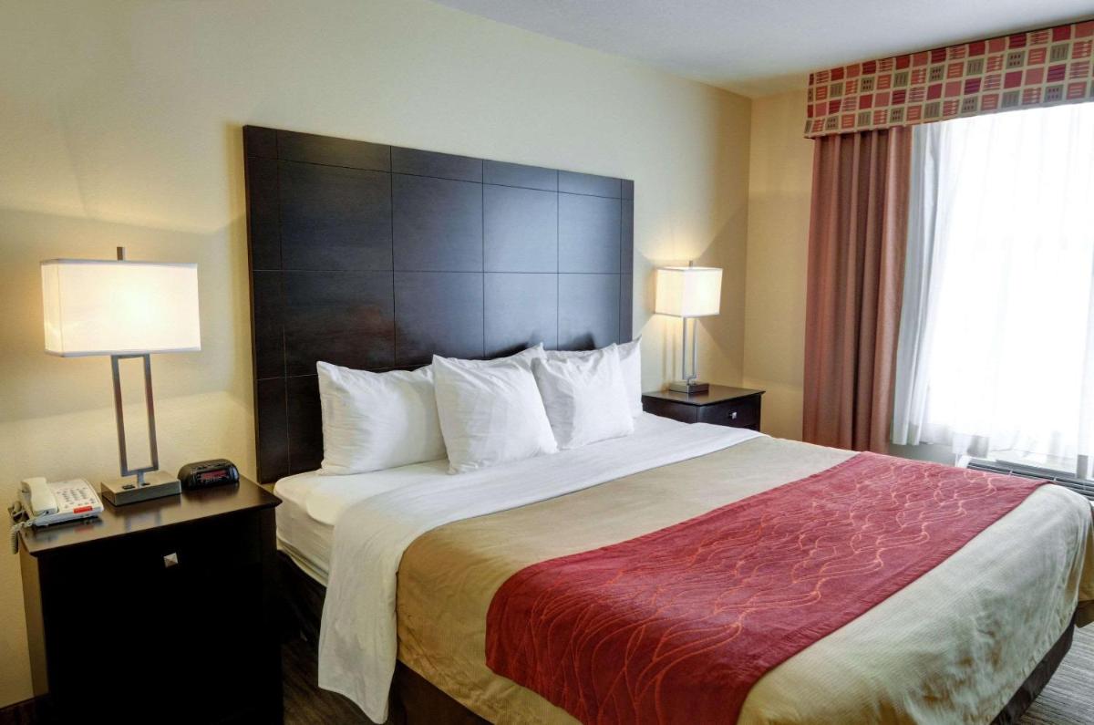 Comfort Inn and Suites Medical West - image 2
