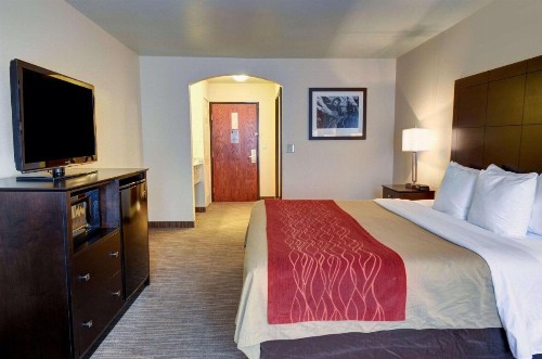 Comfort Inn and Suites Medical West - image 24