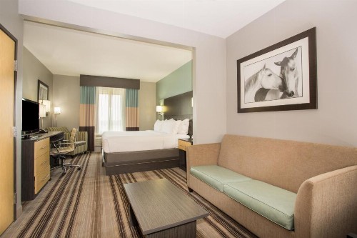 Holiday Inn Express Hotel & Suites Amarillo West an IHG Hotel - image 24