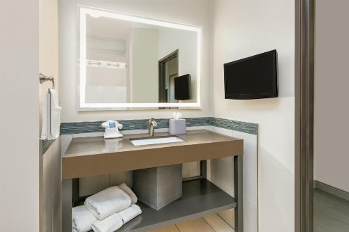 Holiday Inn Express Hotel & Suites Amarillo West an IHG Hotel - image 35