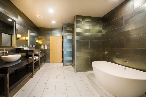 Holiday Inn Express Hotel & Suites Amarillo West an IHG Hotel - image 5
