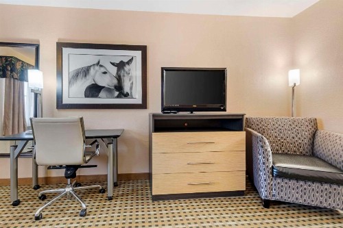 Quality Inn West Medical Center - image 10