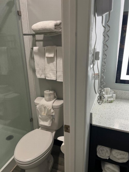 La Quinta Inn by Wyndham Amarillo Mid-City - image 23