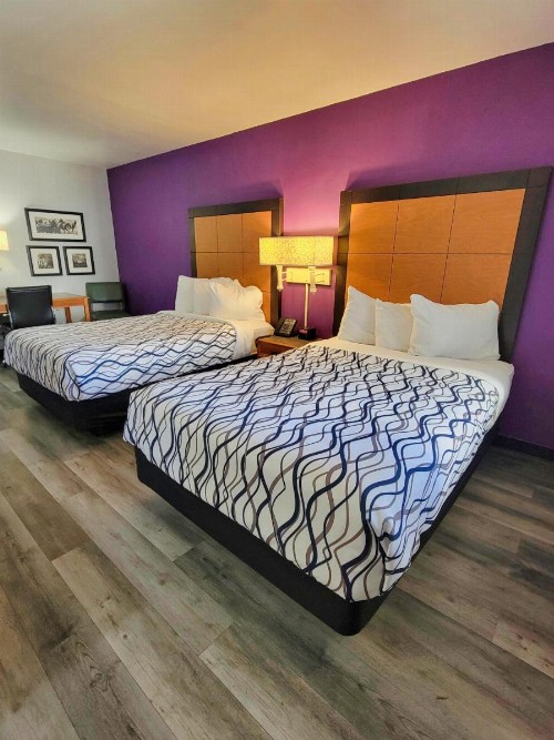 La Quinta Inn by Wyndham Amarillo West Medical Center - image 28