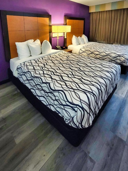 La Quinta Inn by Wyndham Amarillo West Medical Center - image 36