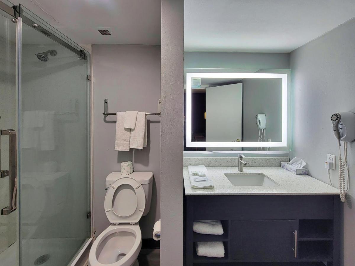 La Quinta Inn by Wyndham Amarillo West Medical Center - image 7