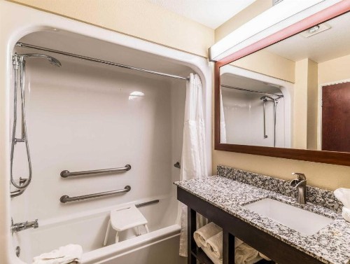 Comfort Suites Amarillo - image 5