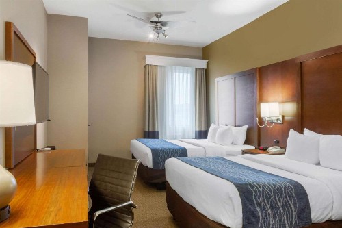 Comfort Inn & Suites Amarillo - image 4