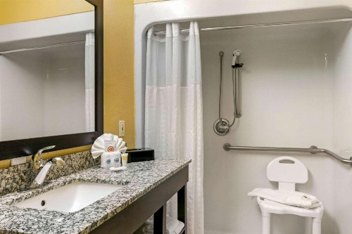 Comfort Inn & Suites Amarillo - image 6