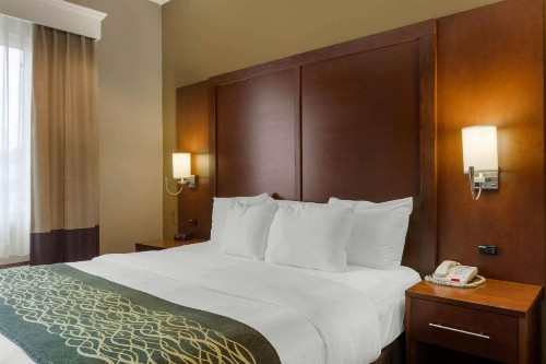 Comfort Inn & Suites Amarillo - image 7
