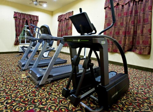 Holiday Inn Express Hotel & Suites Amarillo East - image 22