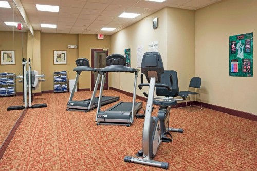 Holiday Inn Express Hotel & Suites Amarillo South an IHG Hotel - image 23