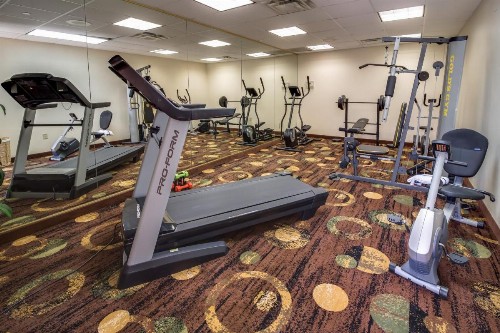 Ashmore Inn and Suites Amarillo - image 11