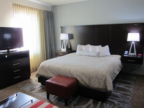 Staybridge Suites Amarillo Western Crossing an IHG Hotel - image 32