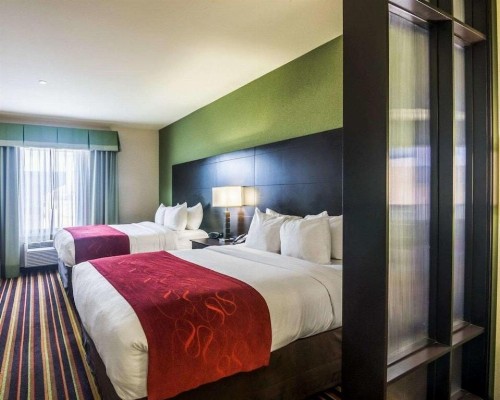 Comfort Suites Amarillo - image 12