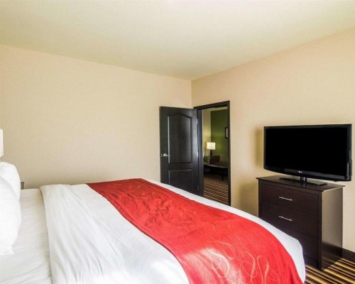 Comfort Suites Amarillo - image 18