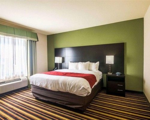 Comfort Suites Amarillo - image 2
