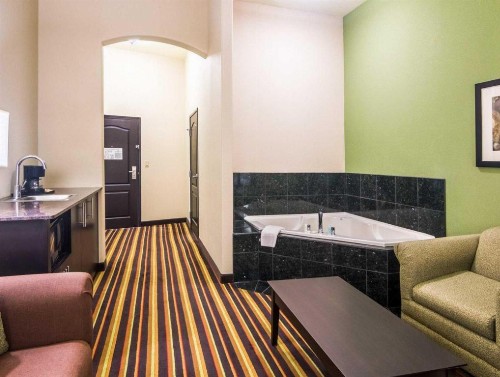 Comfort Suites Amarillo - image 9