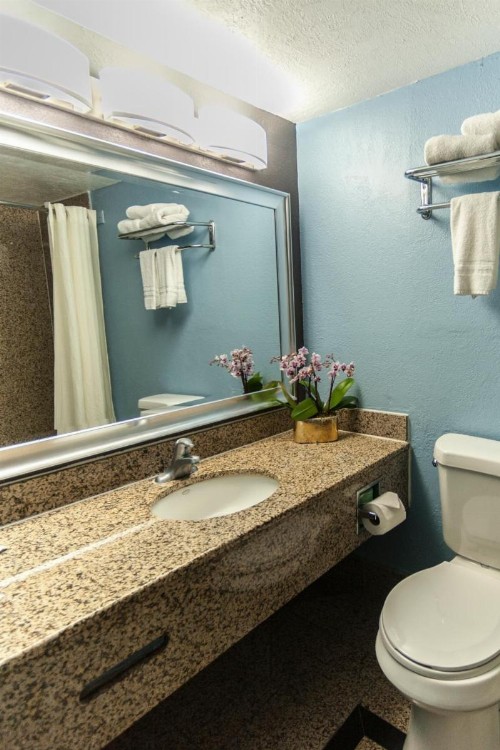 Fifth Season Inn & Suites - image 33
